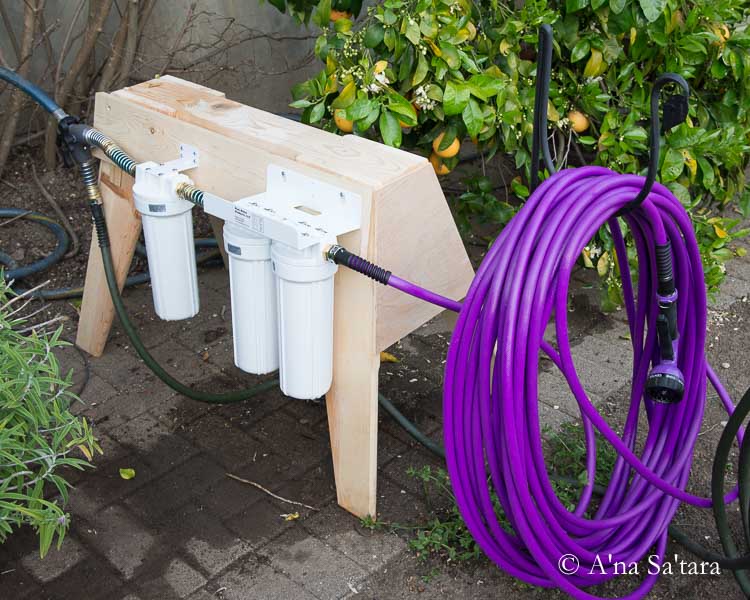 fertilizer for orchids