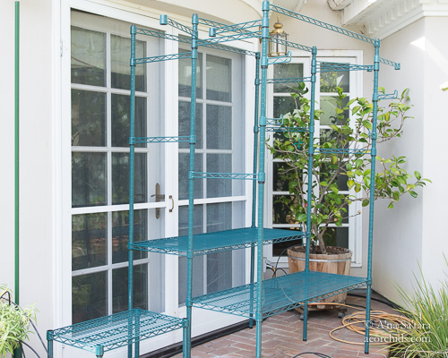 Outdoor orchid growing benches
