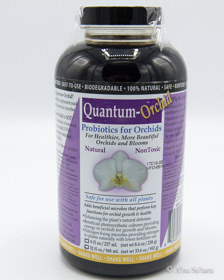 Quantum Orchid