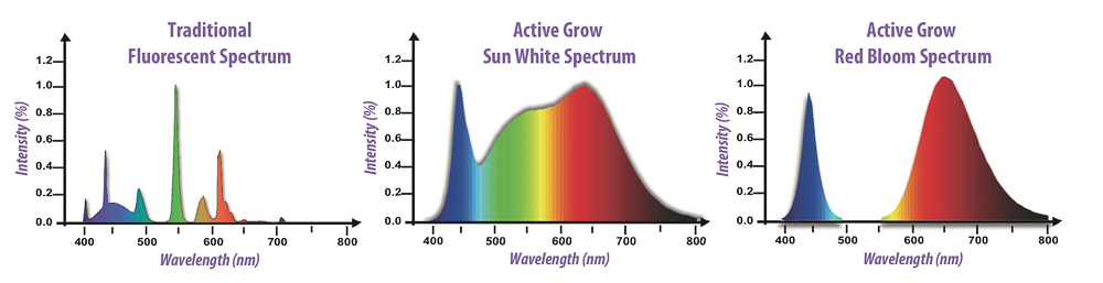 Light spectrum for orchid LED lights