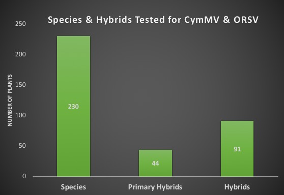 Virus Testing Orchids Graph 1