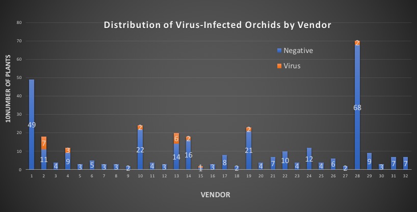Distribution of virus infected orchids by vendor