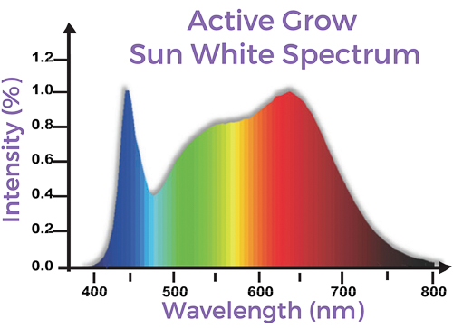 T5 HO LED lights for orchid growing